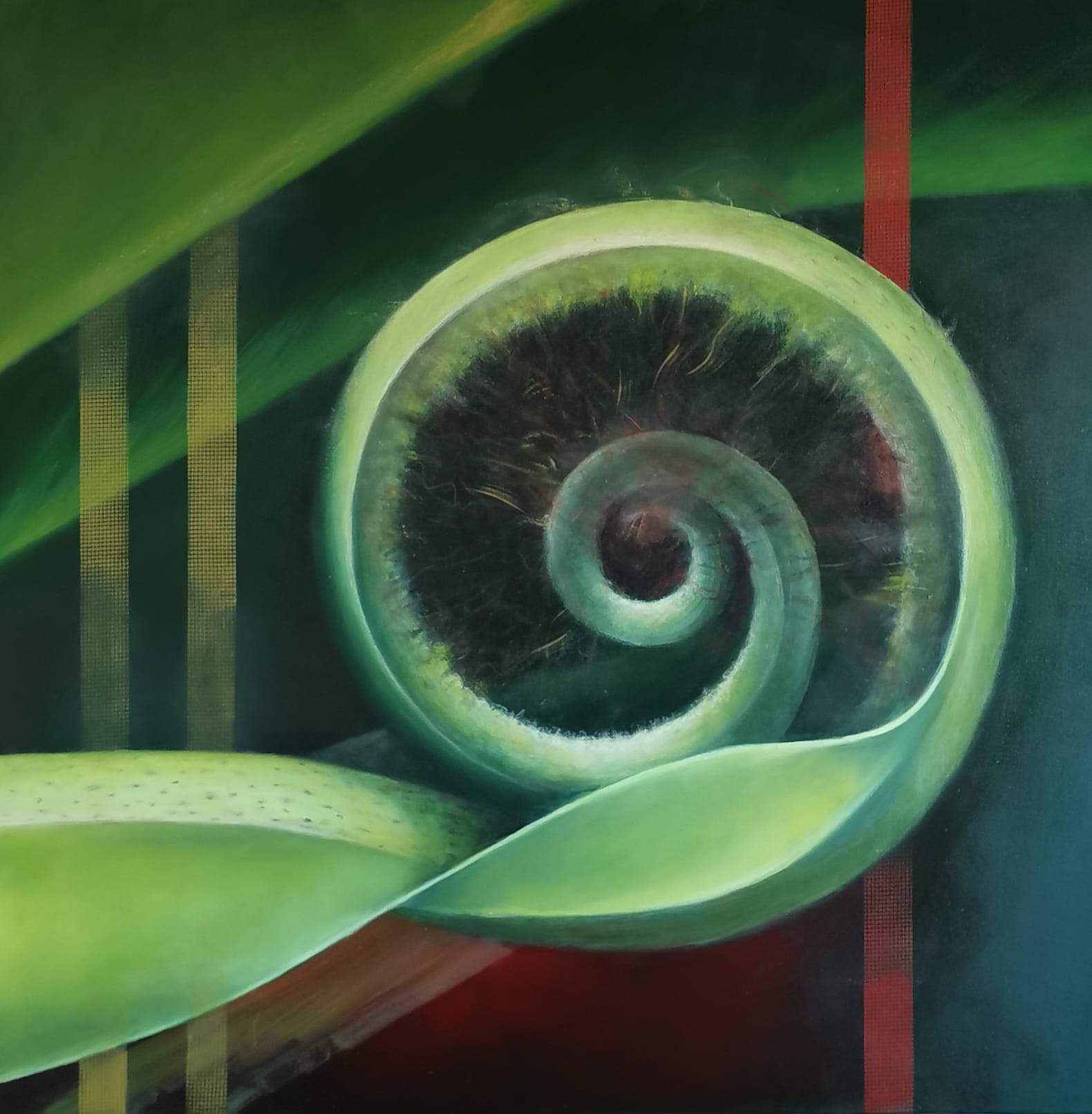 Spira Mirabilis